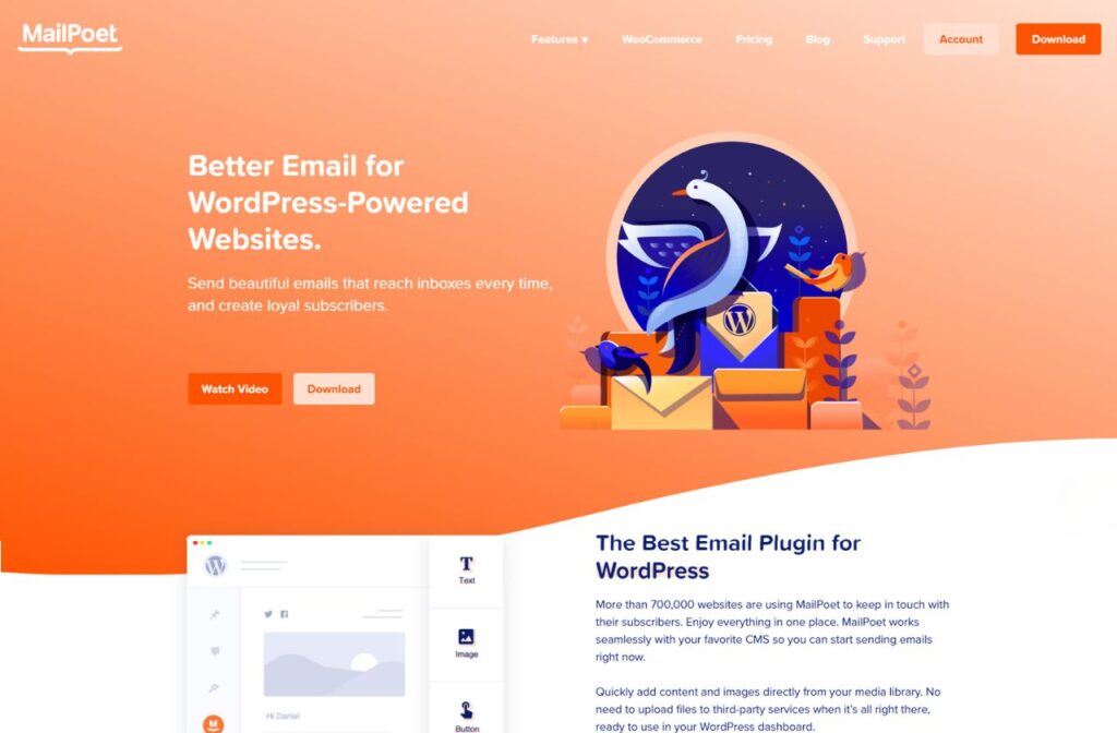 5 Best Newsletter Plugins for WordPress 5 Best Newsletter Plugins for WordPress